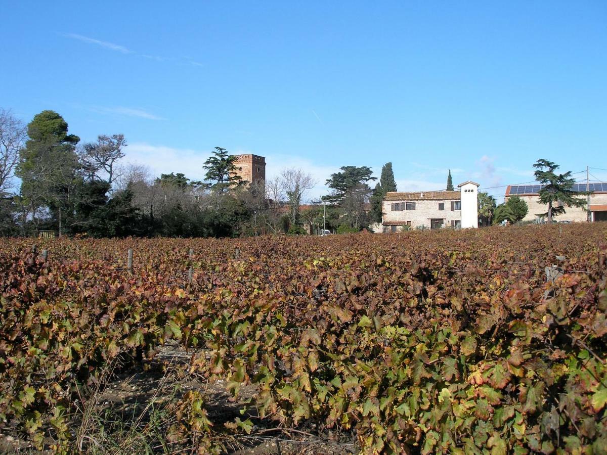 Villa Mas Miraflors Perpignan Exterior foto